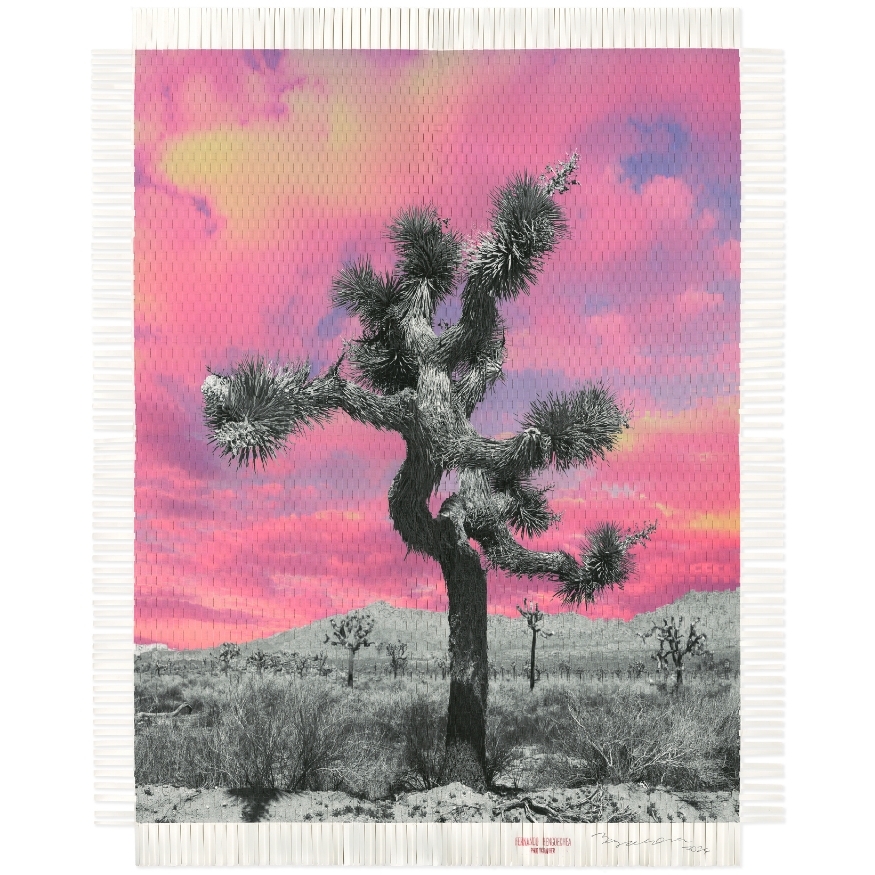 Color woven photograph of a Joshua tree